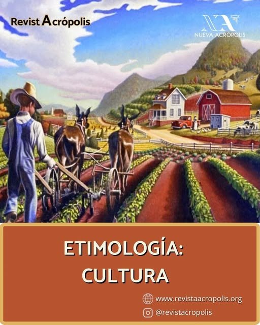 Inicio