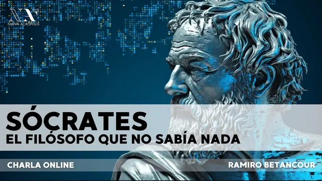 Videos