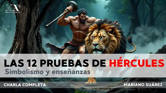 Videos
